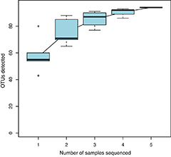 Boxplots illustrating the number of operational taxonomic units (OTUs) detected as the number of sequenced samples increased, reaching a plateau after five samples.