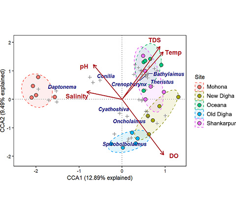 CCA triplot with nematodes and environmental variables